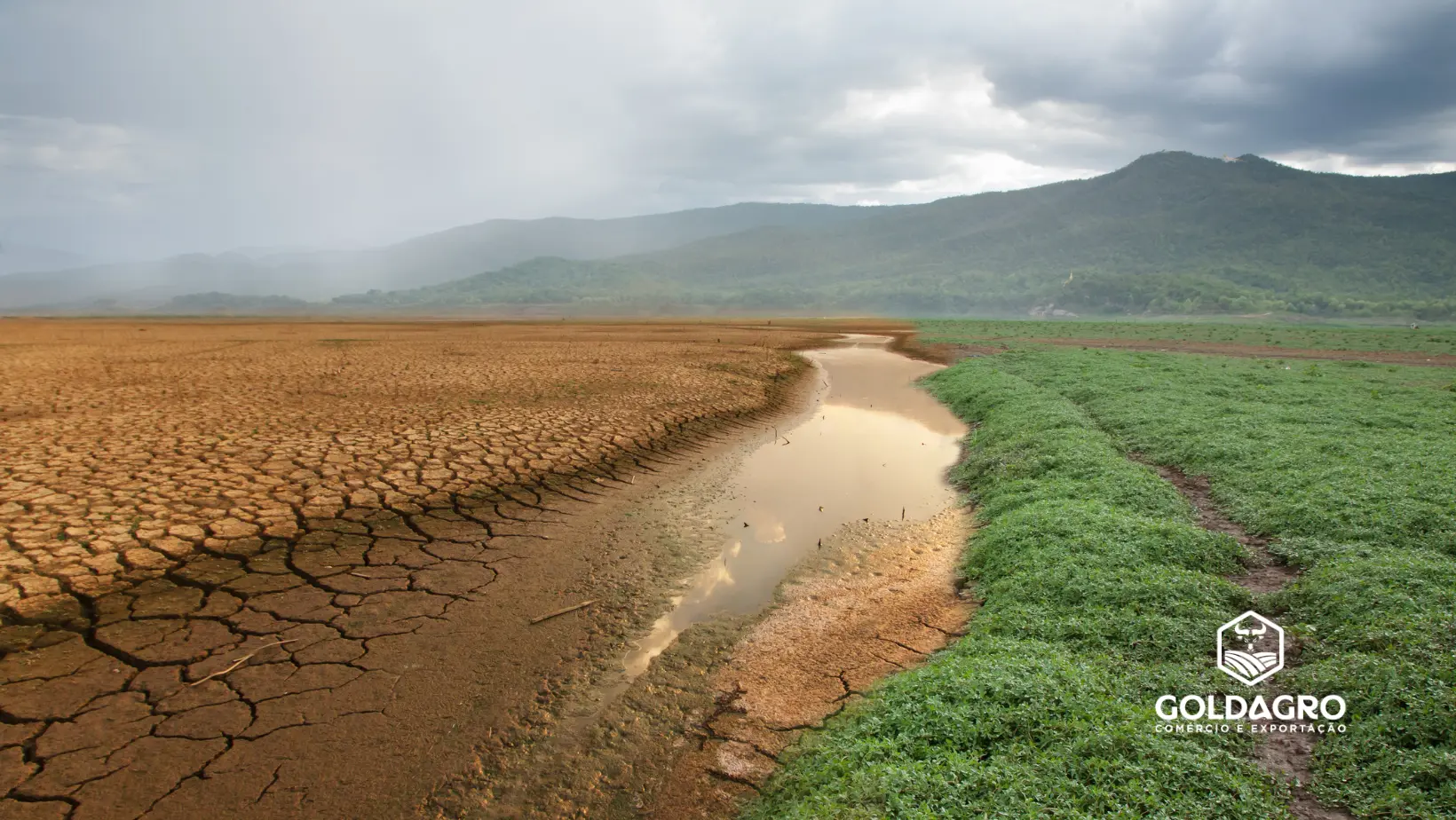 Como a Produção de Grãos no Brasil está se Adaptando às Mudanças Climáticas