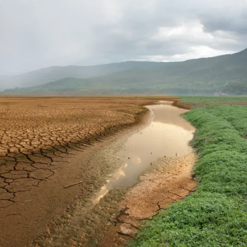 Como a Produção de Grãos no Brasil está se Adaptando às Mudanças Climáticas